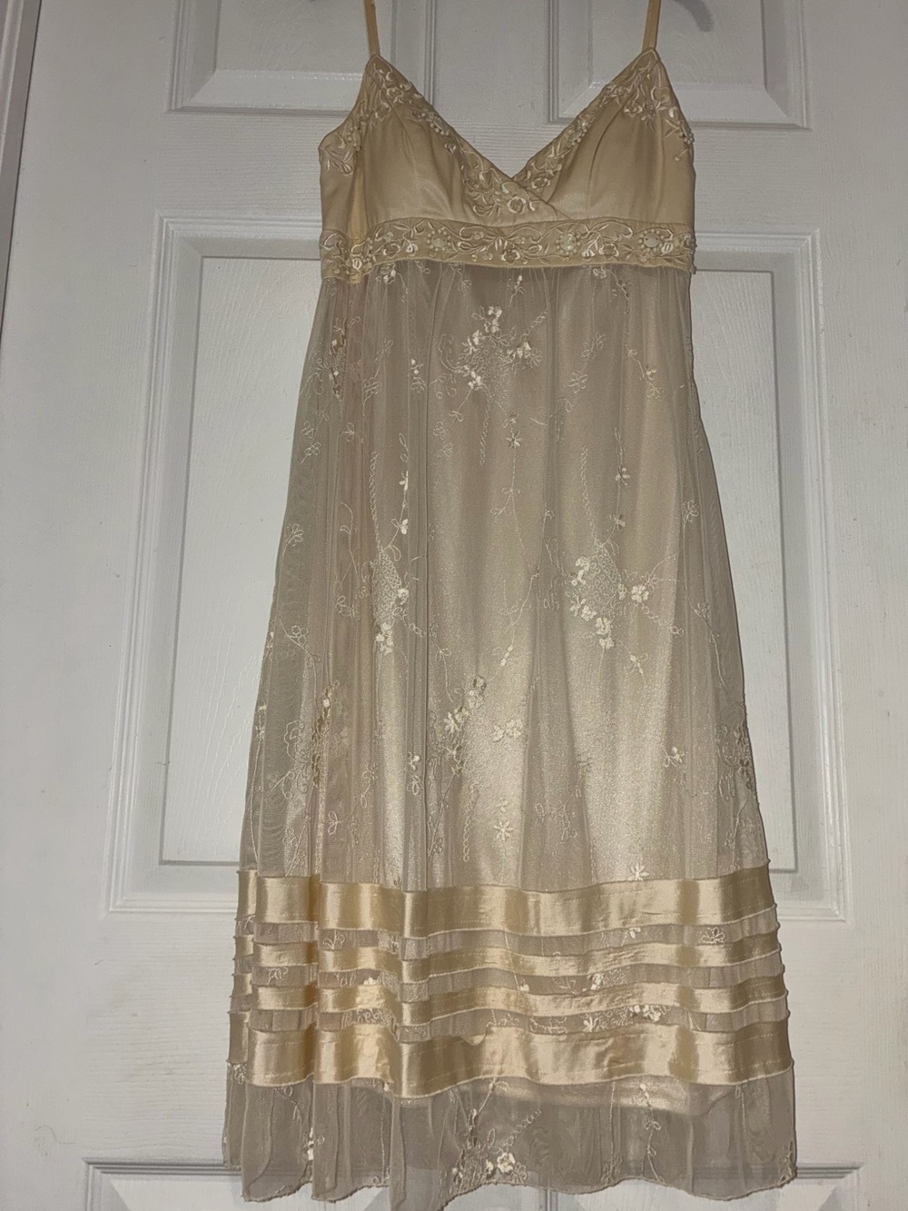 Sue Wong Embellished Champagne Mesh Embroidered Slip Dress - Picture 1 of 13